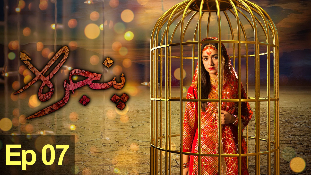 Pinjra - Episode 7 | Aplus