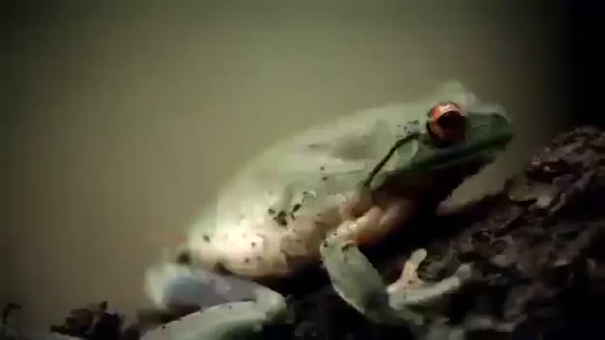 Beastmaster Season 1 Episode 12   The Slayer