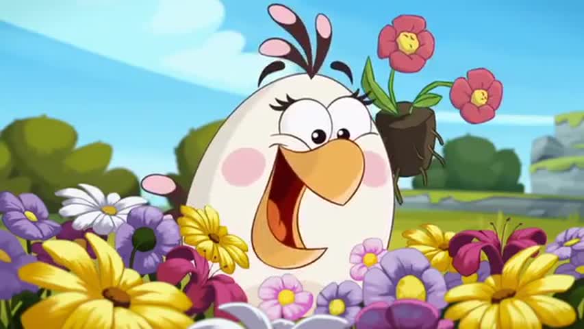 Angry Birds Toons Episode 17: Bearded Ambition