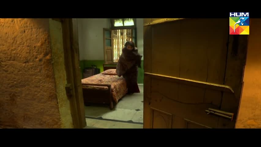 Alif Allah Aur Insaan Episode 29 HUM TV Drama | 7 November 2017