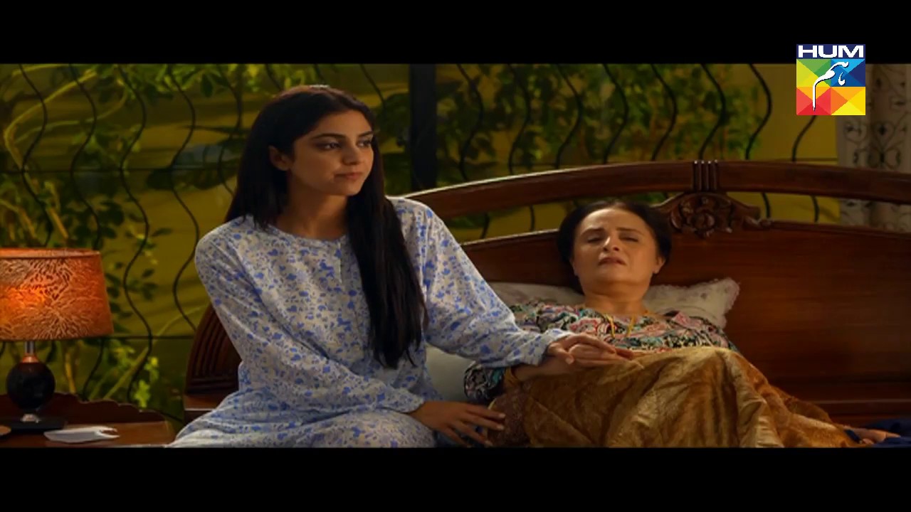 Sanam Episode 12 Full HD HUM TV Drama 28 November 2016