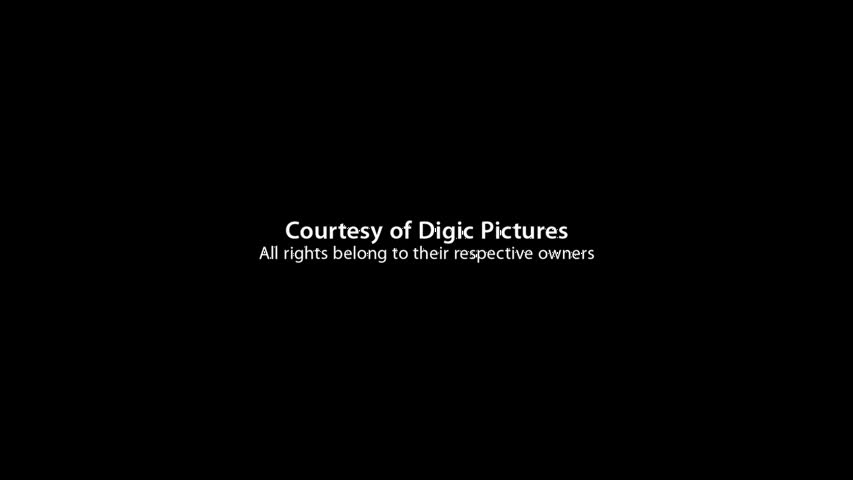 Show Reel 2014-- by Digic Pictures