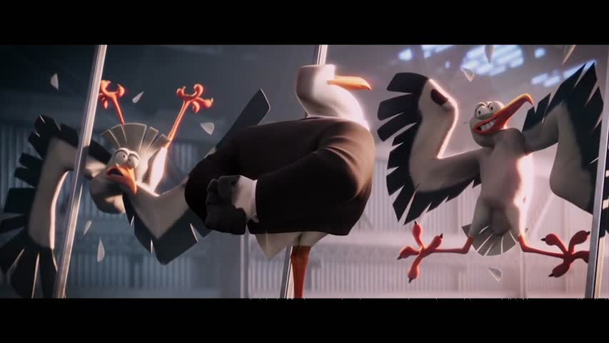 Storks Clip Compilation (2016) 