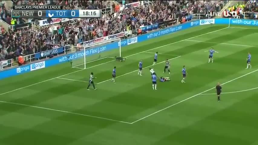 Newcastle United 5:1 Tottenham May 15, 2016
