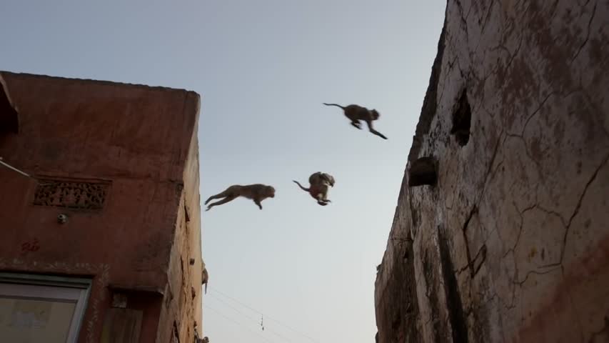 Planet Earth II: Official Extended Trailer - BBC Earth