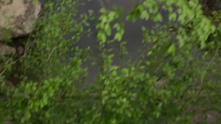 Rectify - Season 1 Episode 2 - Sexual Peeling