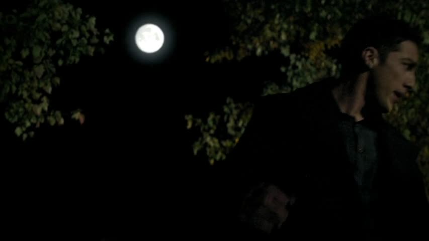 The Vampire Diaries - Season 2 Episode 11 - By the Light of the Moon