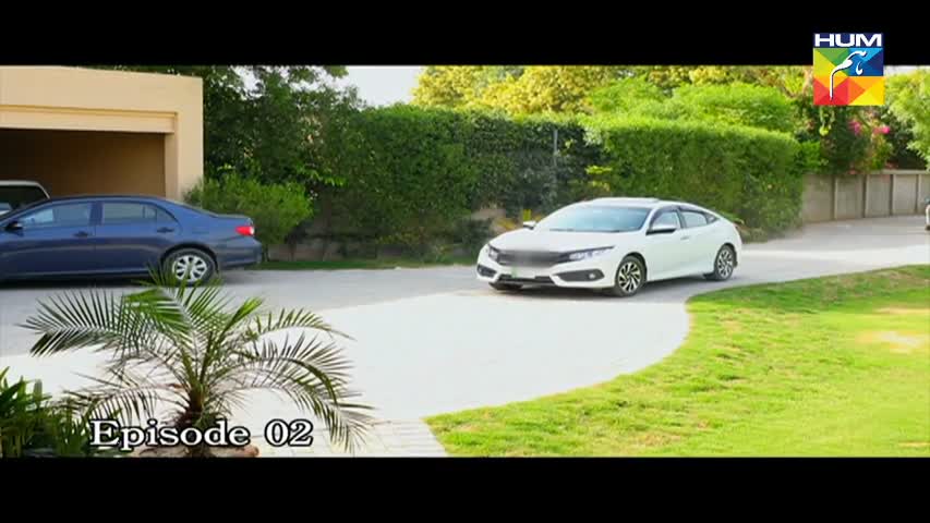 Adhi Gawahi Episode 2 HUM TV Drama - 6 July 2017