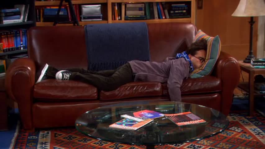 The Big Bang Theory S02E05