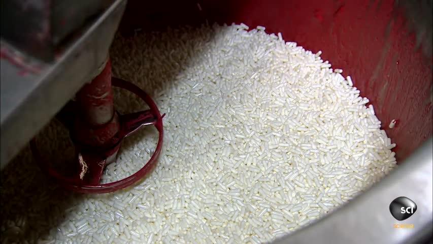 Matches - How It's Made 