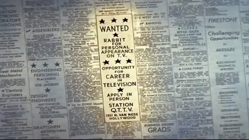 Looney Tunes Episode 27: Wideo Wabbit