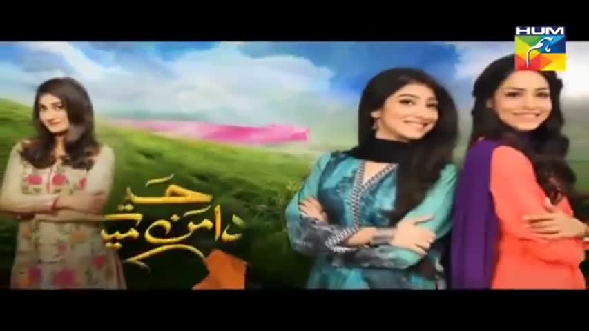 Haya Ke Daman Mein Episode 1 Full 30 March 2016