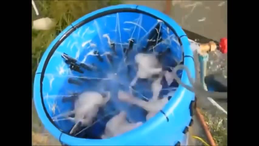 Amazing Homemade Inventions #1