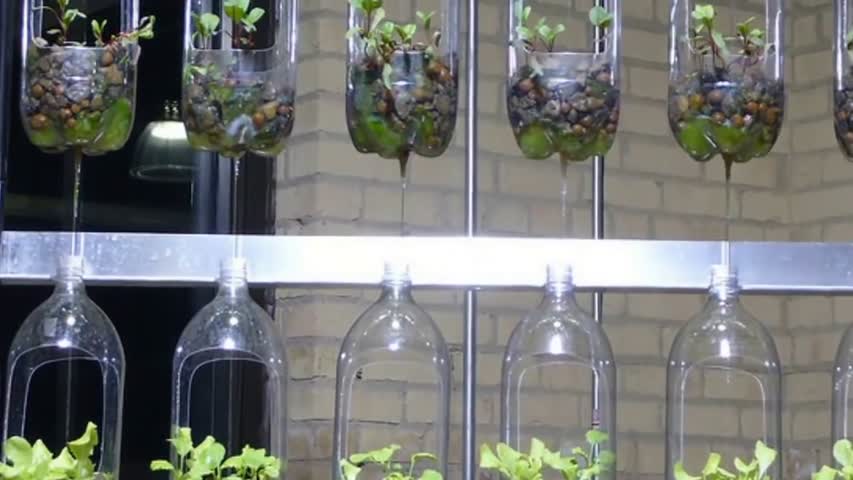 Amazing bottle garden ideas reuse plastic bottles 