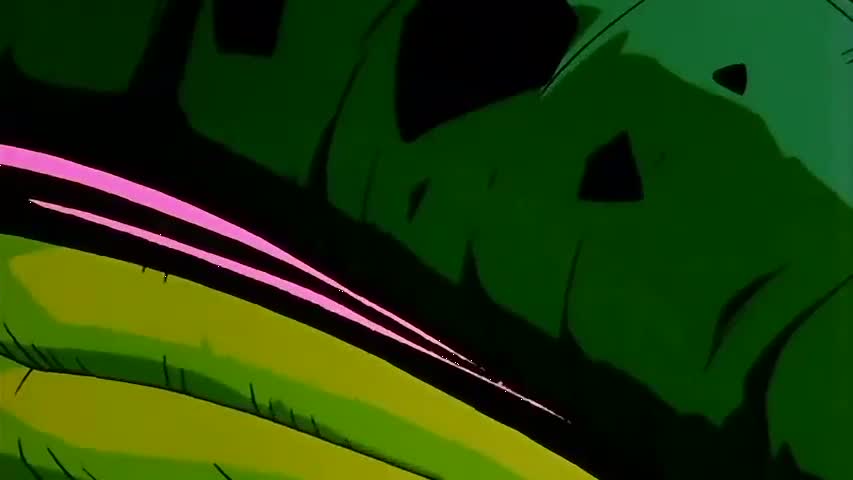 Dragon Ball Z - Season 5Episode 14 : Sacrifice  