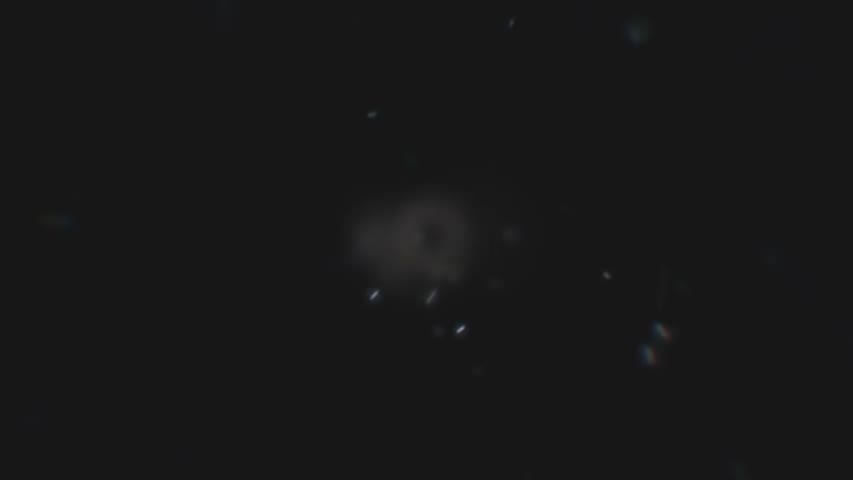 xVOID- by Studio Aiko 