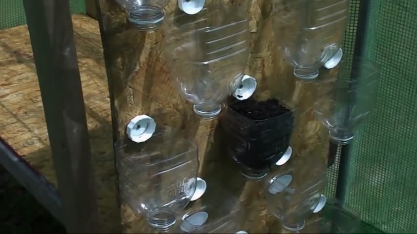 DIY 2ft Vertical Garden Using Plastic Bottles 