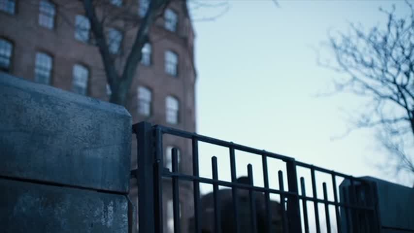 The Knick - Season 2 Episode 2 - You're No Rose