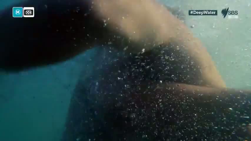 Deep Water - Season 1 Episode 1 