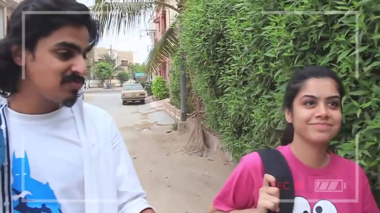 Bekar vines New 2016