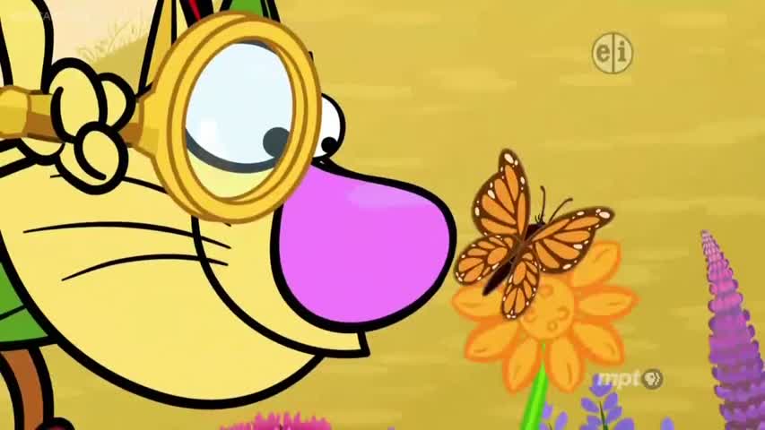 Nature Cat Episode 19