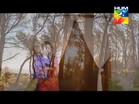 Nikah Episode 18