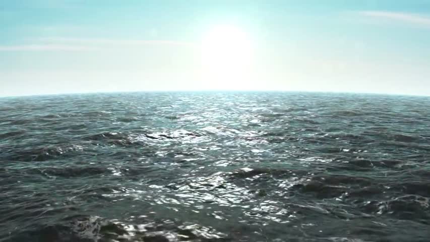 The Ocean