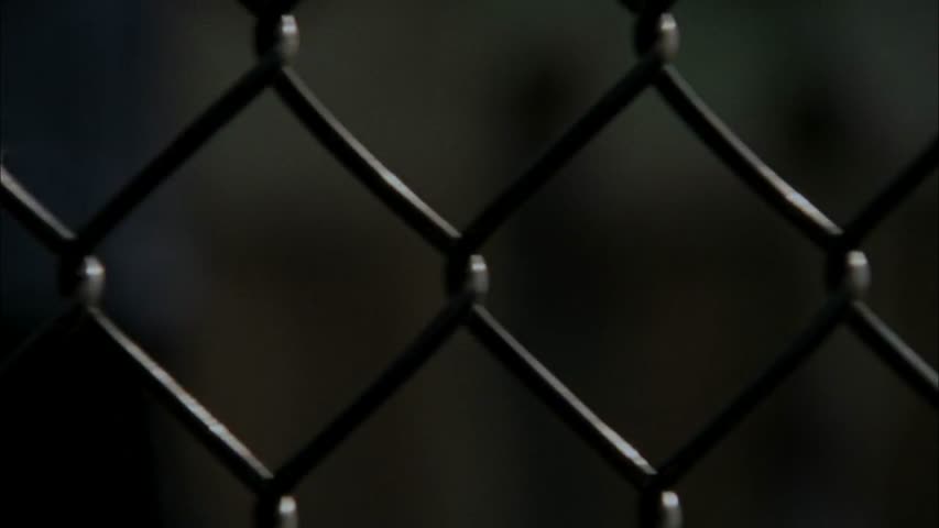 The Walking Dead - Season 2 Episode 2 - Bloodletting