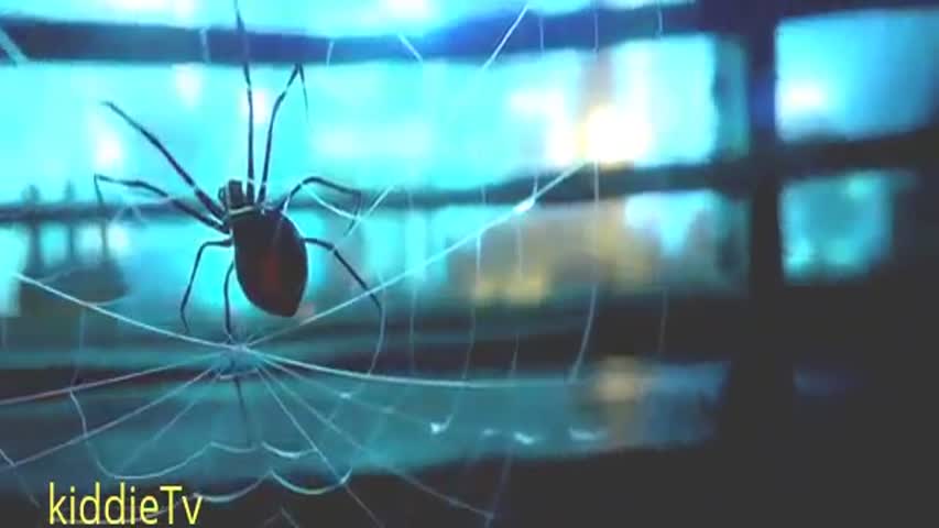 IMPASSE- Western Action Animation 