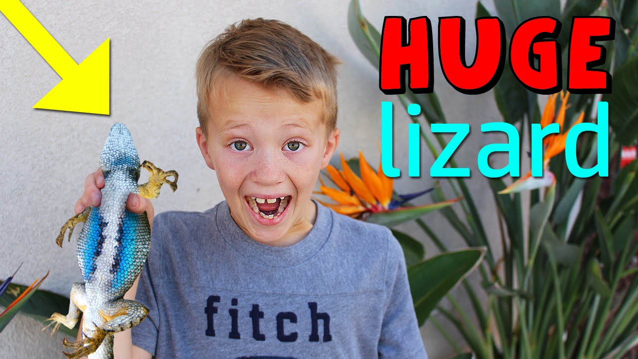 WE CAUGHT A GIANT LIZARD!
