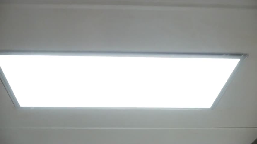  Stranger Things - Season 1 Episode 5 - Chapter Five: The Flea and the Acrobat