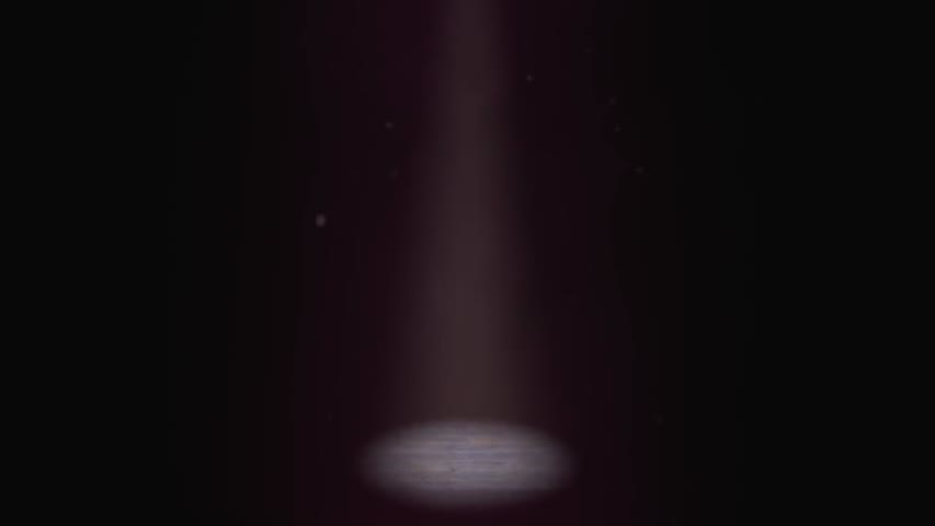 Untamed- - by Team Untamed