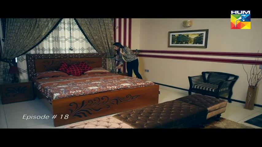 Dil e Jaanam Episode 18 HUM TV Drama - 30 June 2017