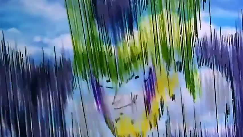 Dragon Ball Z - Season 6Episode 1 : What Is the Tournament?