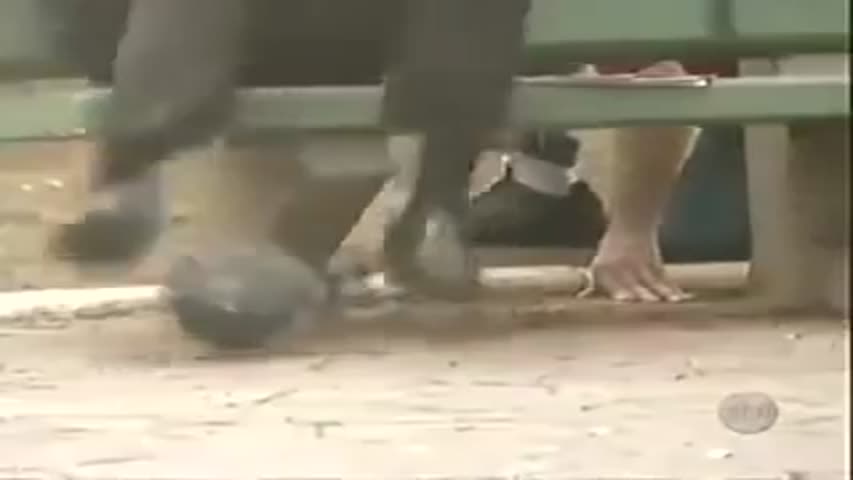 world most funny video ever