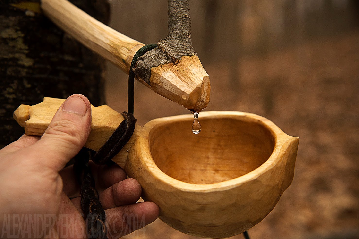 Tapping the Birch - Traditional Way