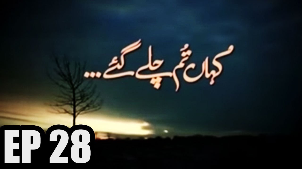 Kahan Tum Chalay Gaye - Episode 28 | Har Pal Geo