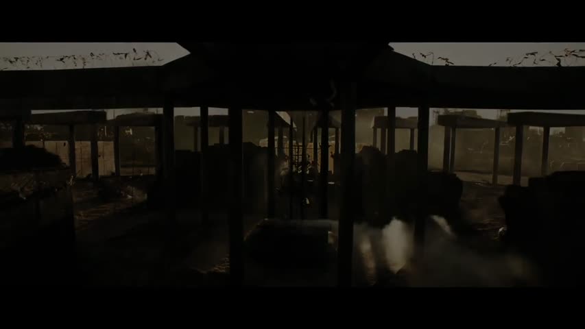 THE FINAL CHAPTER  (2017) 