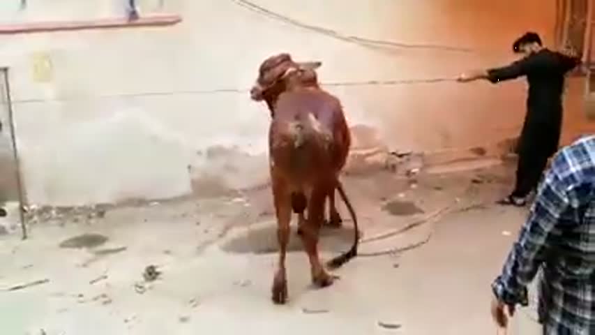 Ohhh khair Unload hoty hi Bhaag gaya