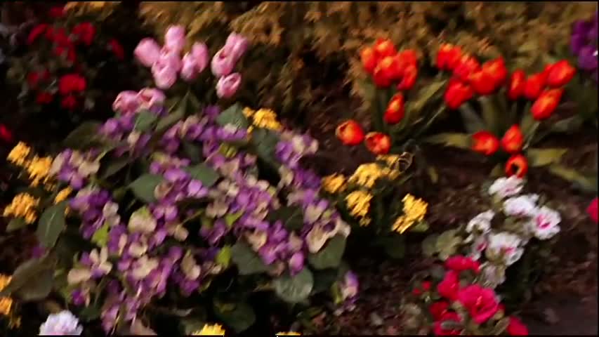 Smallville - Season 1 Episode 18 - Drone 