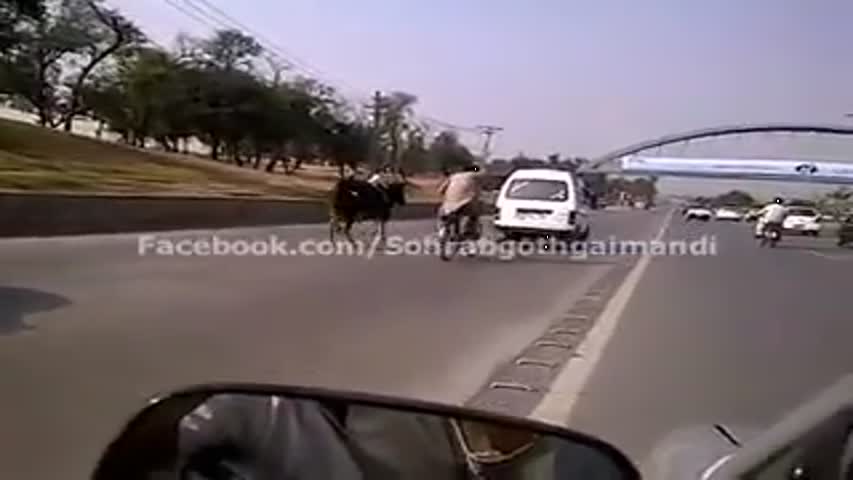 Out of Control Bull Jump from Suzuki and Running on Main Road