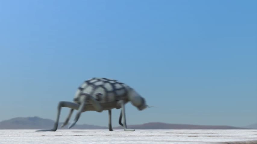 Green Acres- By James Beck