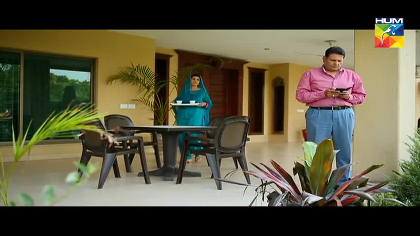 Adhi Gawahi Episode 24 HUM TV Drama - 21 September 2017