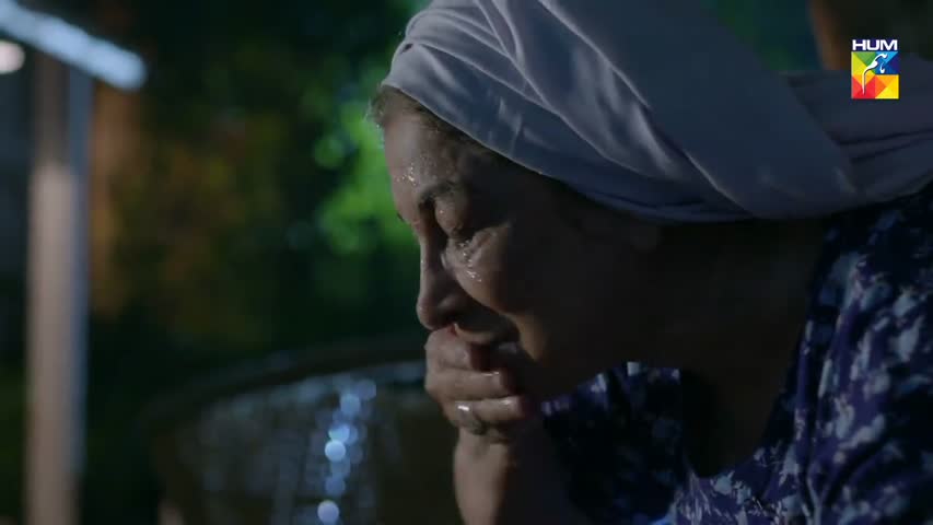 Tabeer Episode #14 HUM TV Drama 22 May 2018