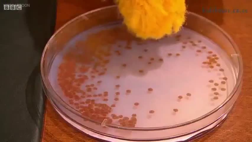 The Furchester Hotel Episode 7