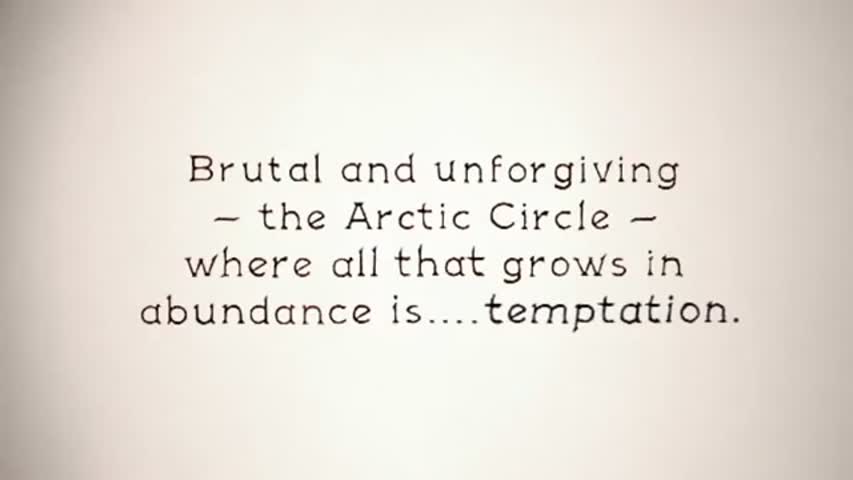 Kevin Parry - The Artic Circle (stop motion animation) 