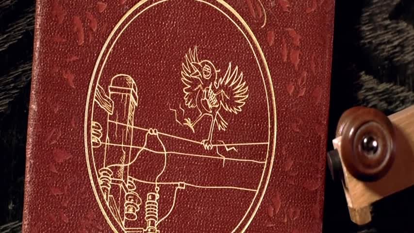 Accidents, Blunders and Calamities Short Film- by Media Design School 