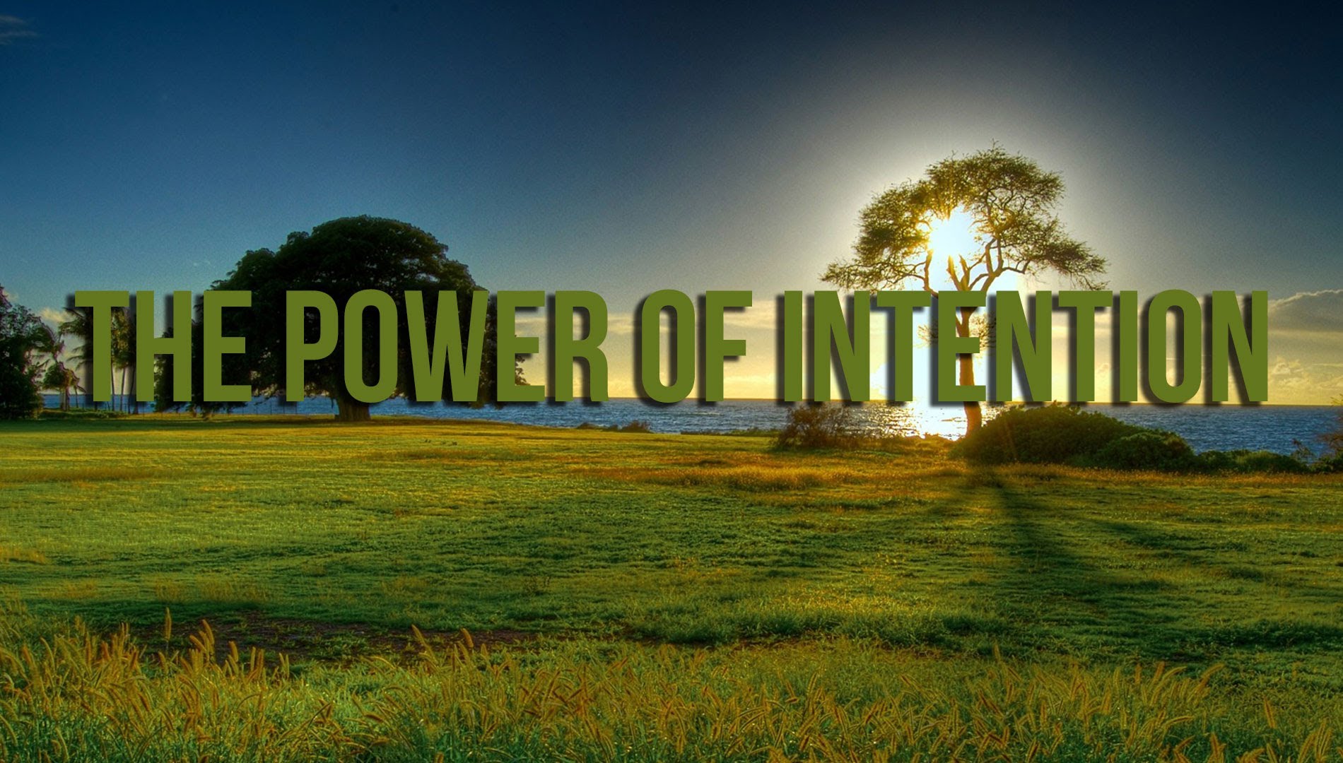The Power of Intention - Funny Story