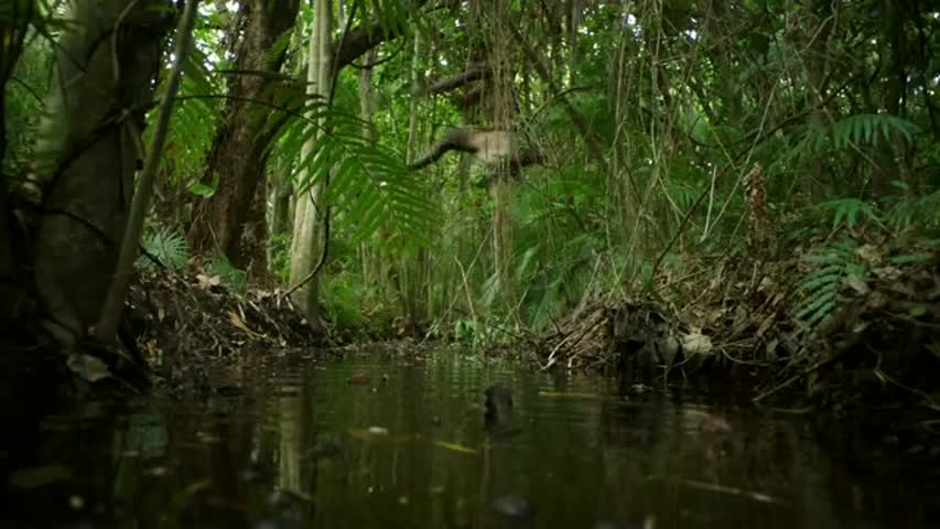 Roots (2016) - Season 1 Episode 3 - Part 3