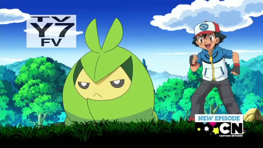 Pokemon - Season 15Episode 26: Battling the Leaf Thieves!